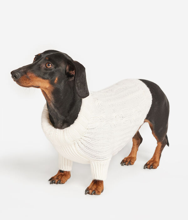 Jersey para perro de cashmere