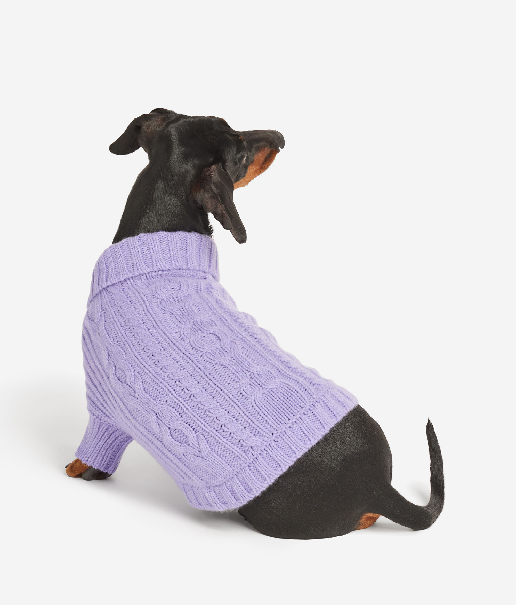 Cashmere Dog’s Garment