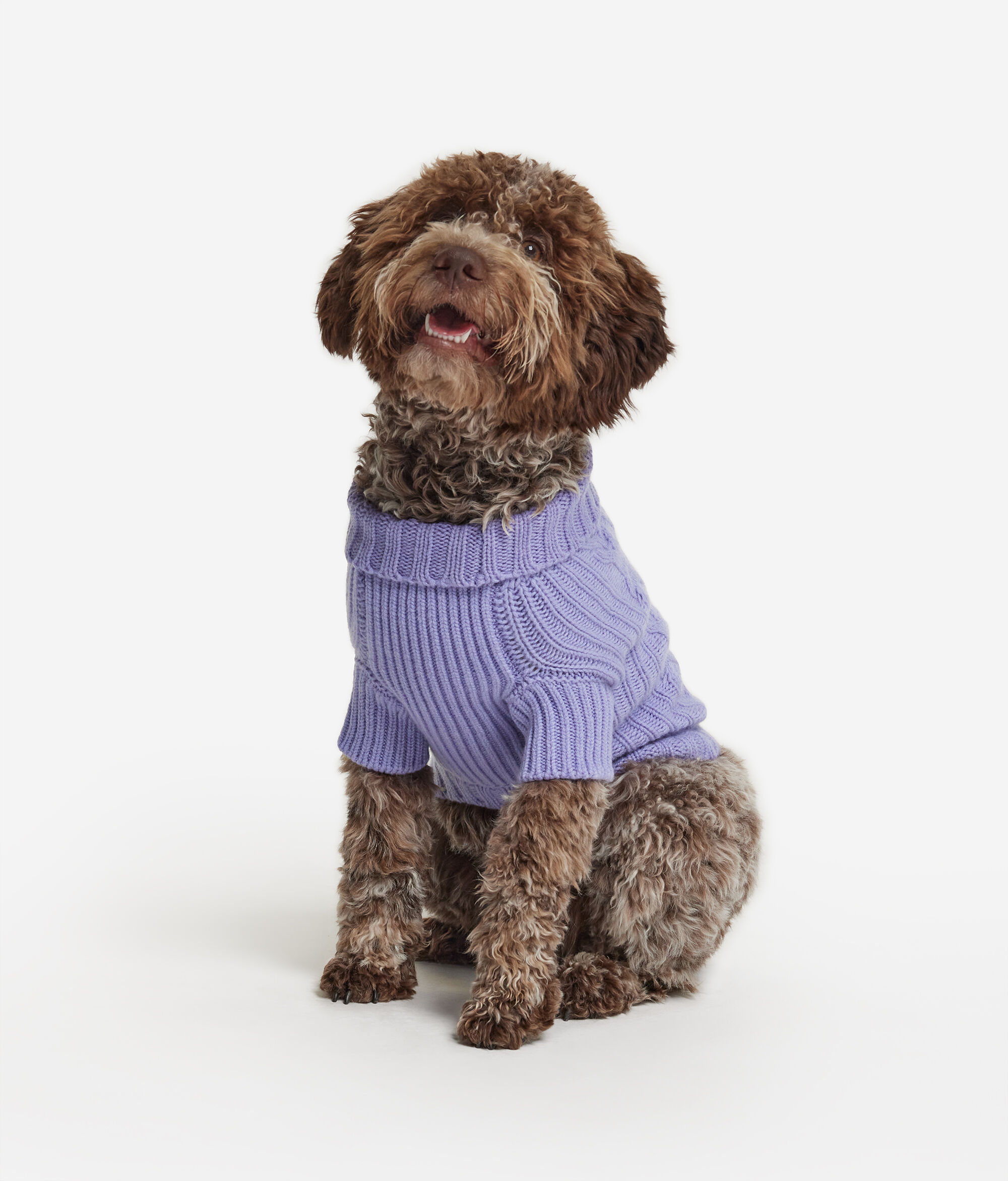 Cashmere Dog’s Garment