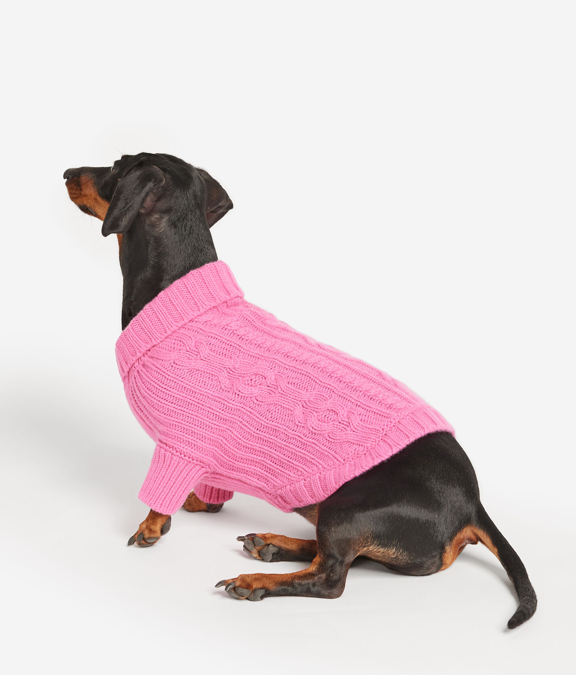 Abito per Cane in Cashmere