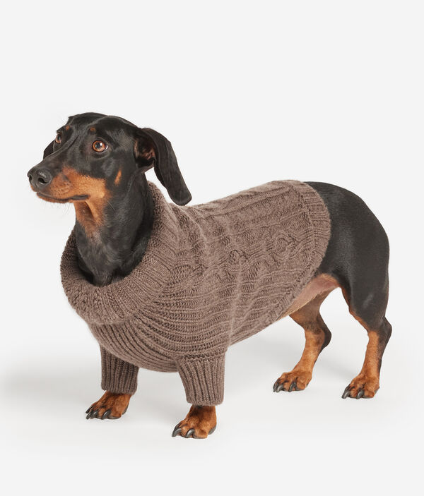 Jersey para perro de cashmere
