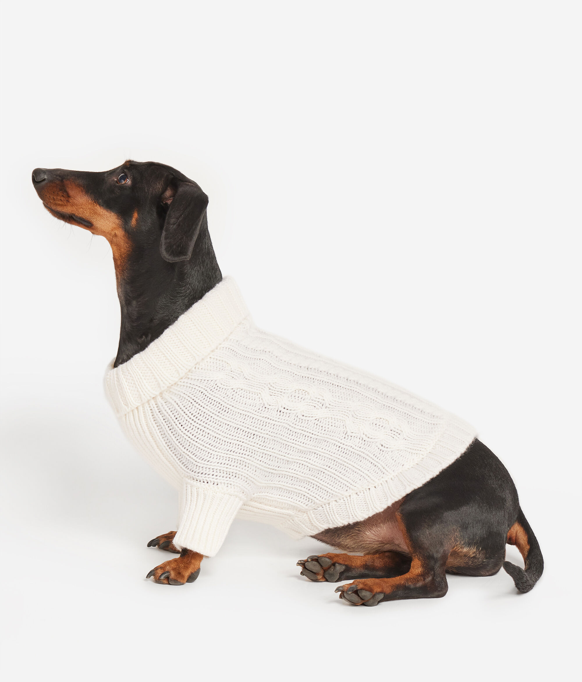 Cashmere Dog’s Garment