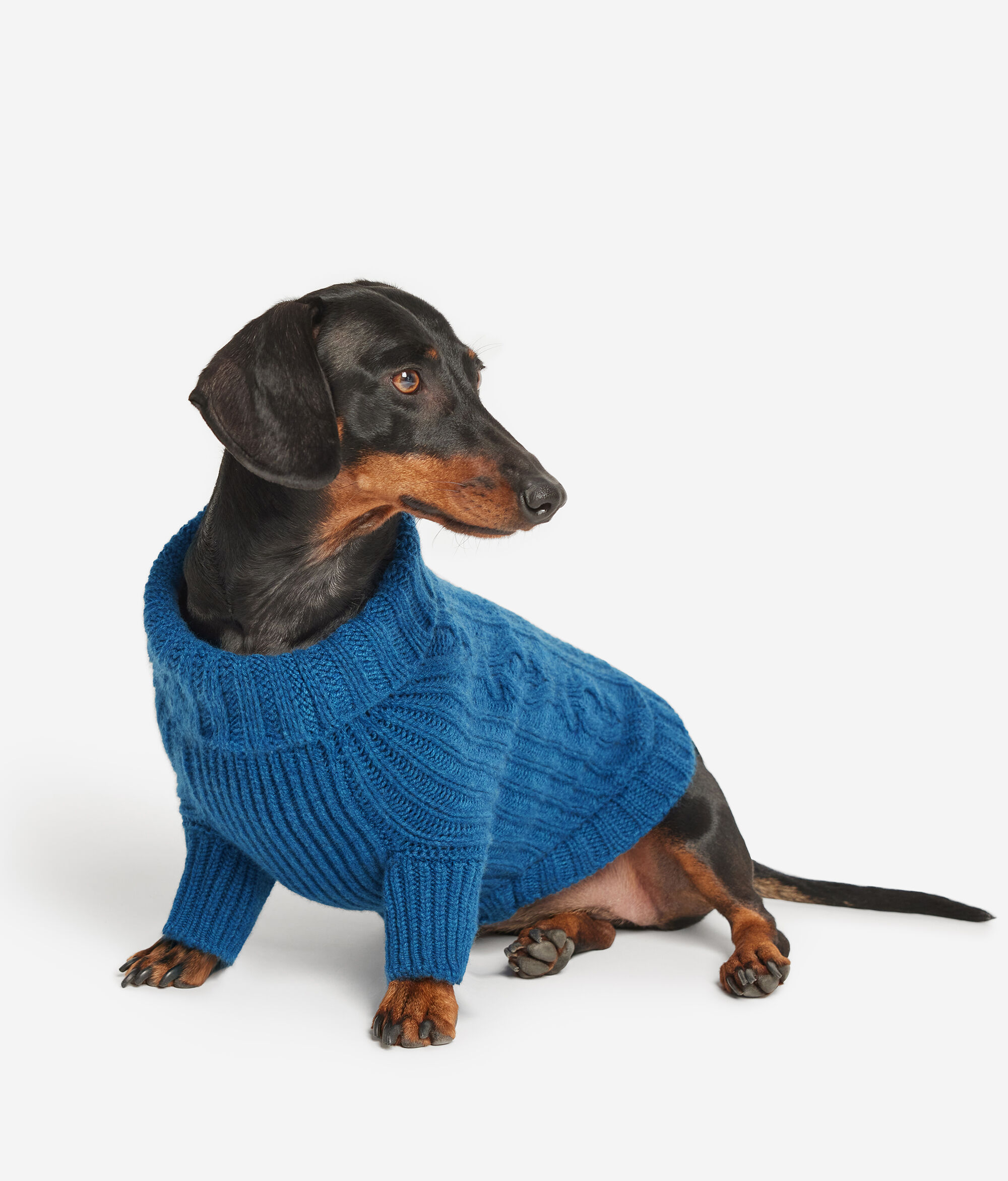 Manteau pour chien en cachemire