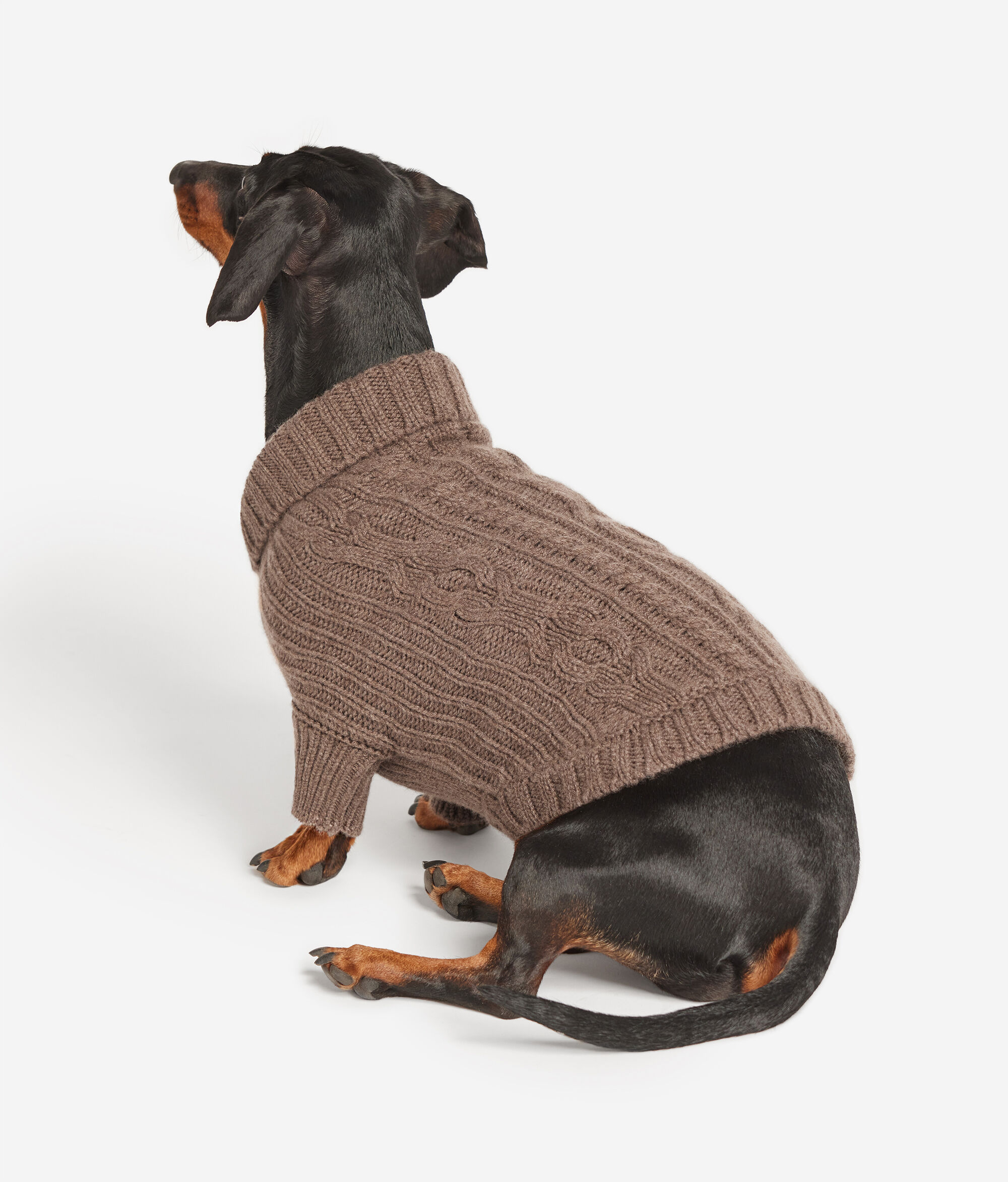 Abito per Cane in Cashmere
