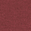 MARSALA TC