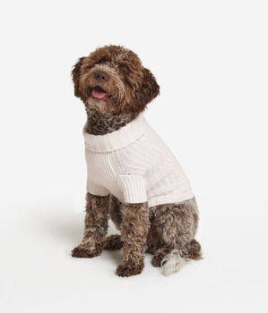 &Pi;&omicron;&upsilon;&lambda;ό&beta;&epsilon;&rho; &gamma;&iota;&alpha; &Sigma;&kappa;ύ&lambda;&omicron; &alpha;&pi;ό Cashmere