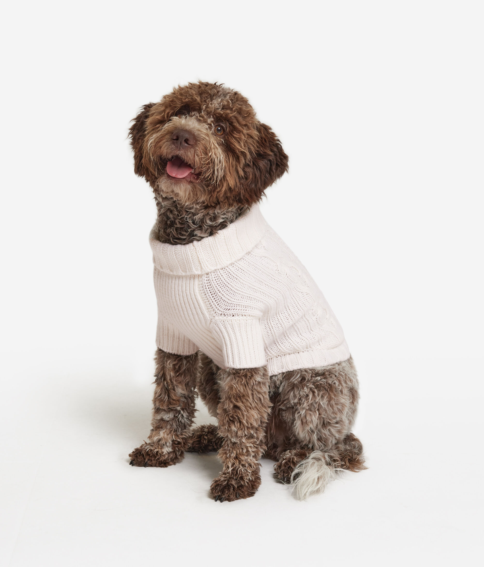 Πουλόβερ για Σκύλο από Cashmere